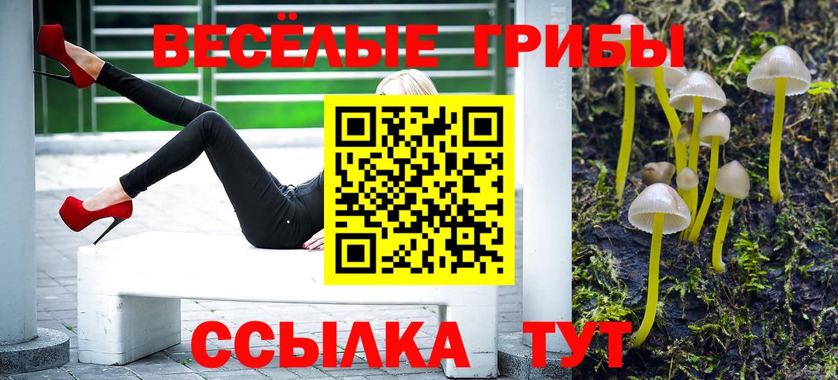 Галлюциногенные грибы прущие грибы Балтийск