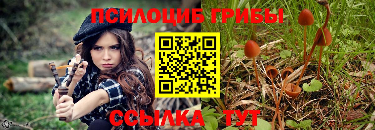 Галлюциногенные грибы Psilocybe  Псилоцибиновые грибы мицелий  Вход с VPN  Балтийск 